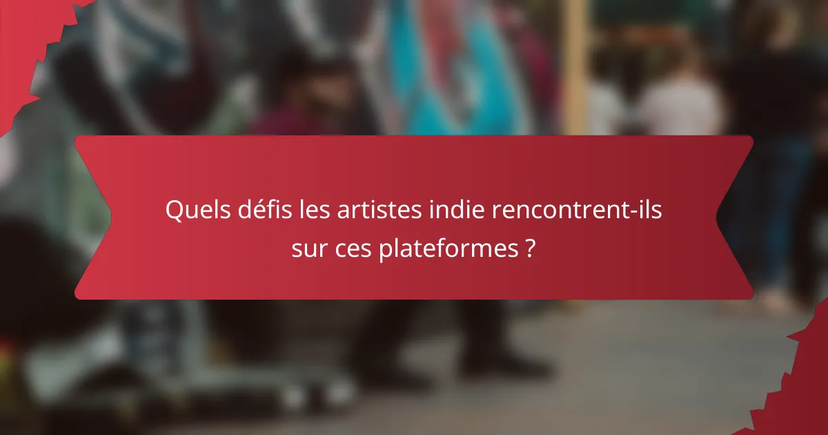 Quels défis les artistes indie rencontrent-ils sur ces plateformes ?